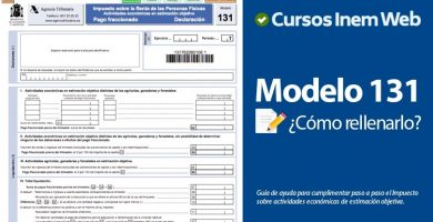 modelo 131
