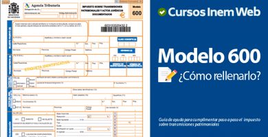 modelo 600