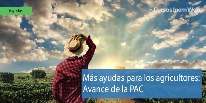 Ayudas agricultores PAC