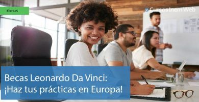 Becas Leonardo Da Vinci