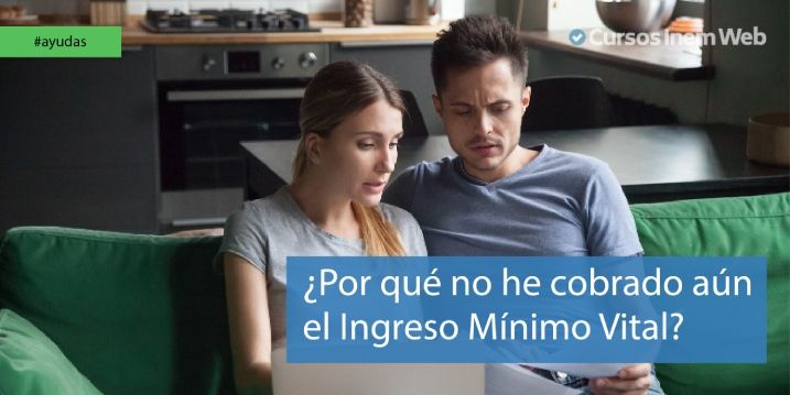 Problemas con el Ingreso Mínimo Vital