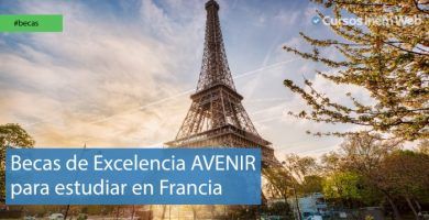 Becas AVENIR