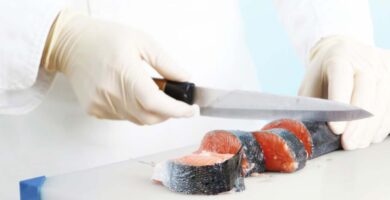 Detalles del curso online Manipulación en crudo y conservación de alimentos 2023